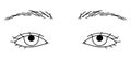 woman eyes, double eyelids, Almond eyes, sanpaku ,outline illustration